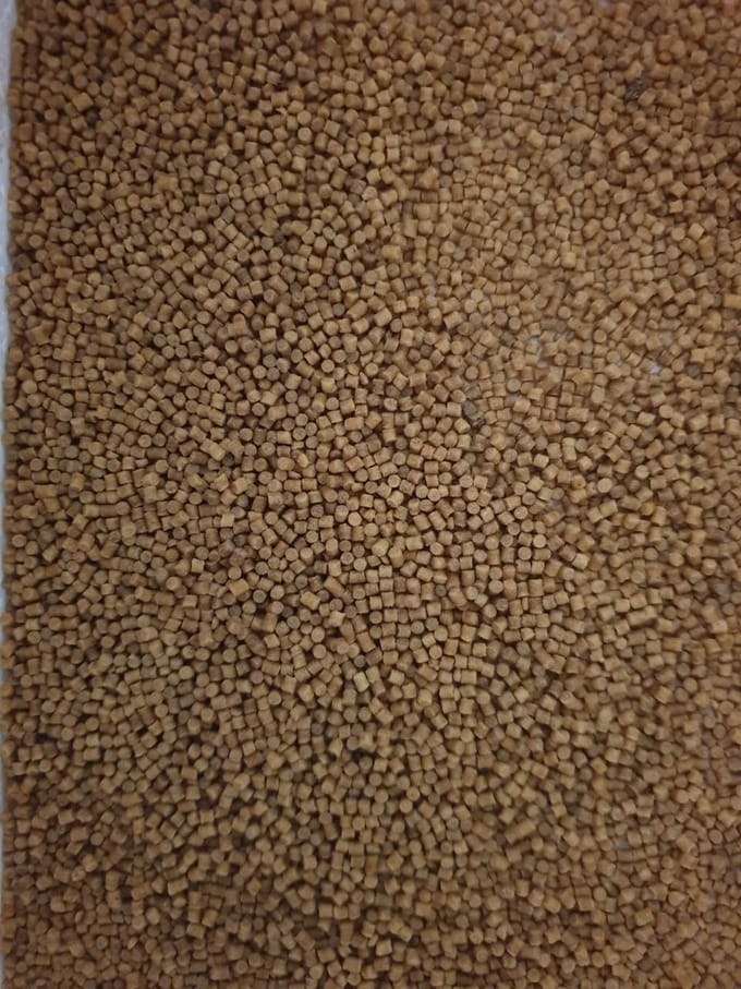 Cichlide pellets 2 mm (zinkend) 80 gram