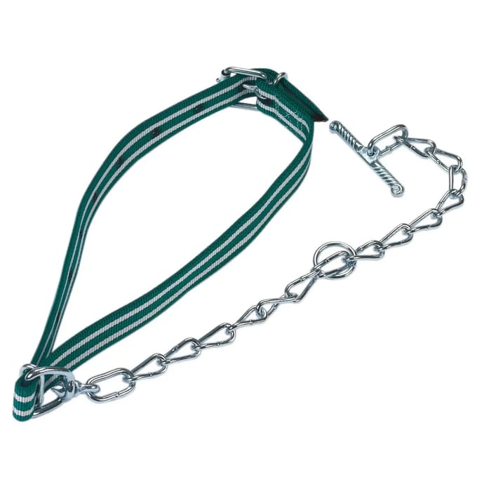 Standaard kuitklem met ketting Kerbl