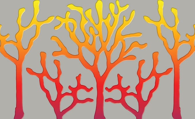 Tree Abstract Fiery Photo Wallcovering