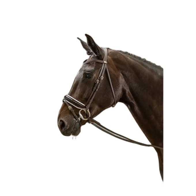 Breedte gecombineerde muserolle met glanzende afwerking en witte voering Dy'on