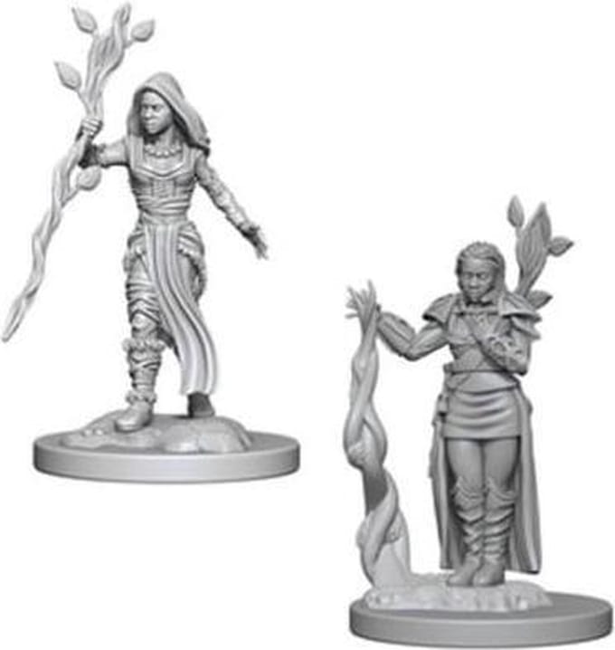 D&D Miniatures Human Female Druid