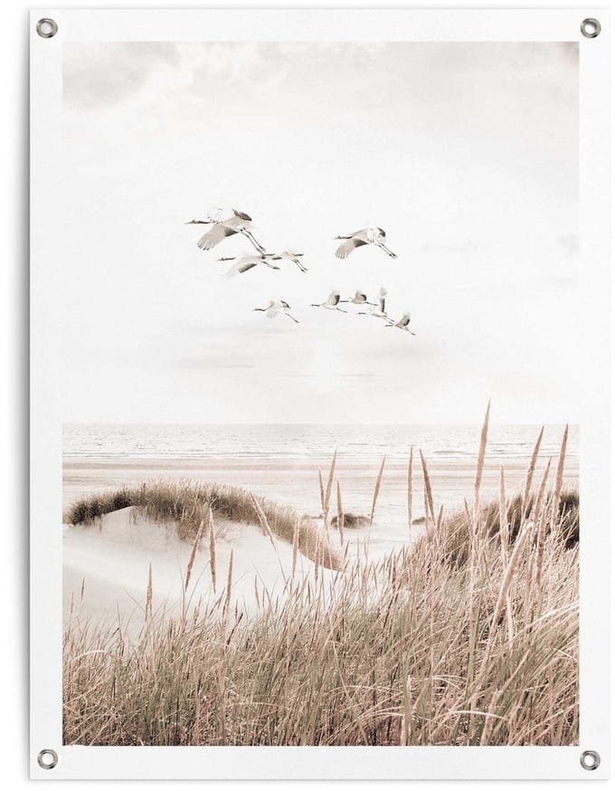 Tuinposter Kraanvogels - 80 x 60 - Canvas - REINDERS