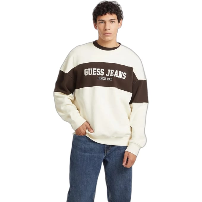 Gestreepte sweatshirt Guess Horizont