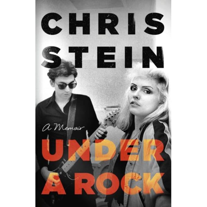 Under A Rock - Chris Stein