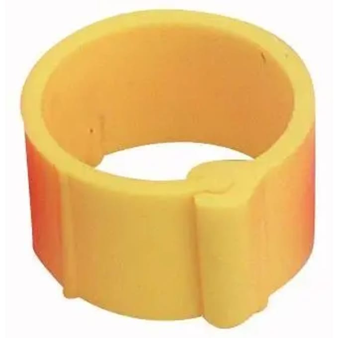 Klemring Chick'A (x25)