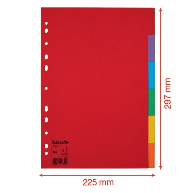 Esselte tabblad Eco karton 160g formaat A4 6 gekleurde tabs 11-gaats