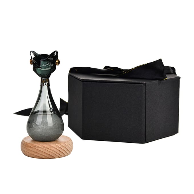 Weersvoorspeller Kat Fles Zwart Ergonomisch Robuust Glas Weersvoorspeller Voor Woonkamer Keuken black