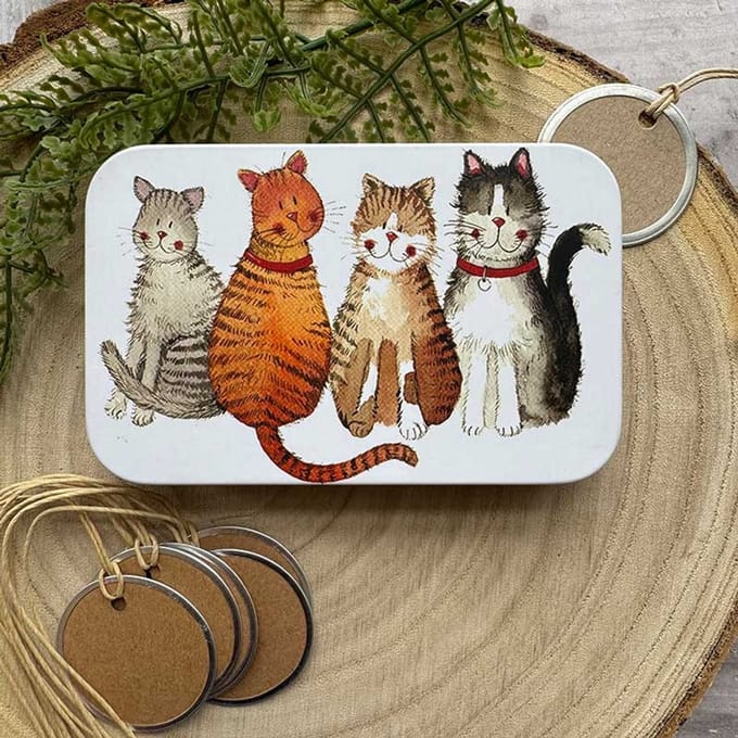 Alex Clark Rectangle Tin Marvellous Moggies ~ Langwerpig opbergblikje katten