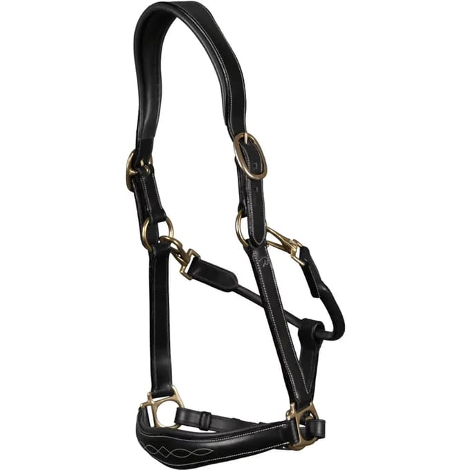 Dy'on Halster D Collection By Dy'on Zwart