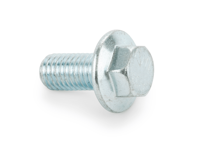 Screw