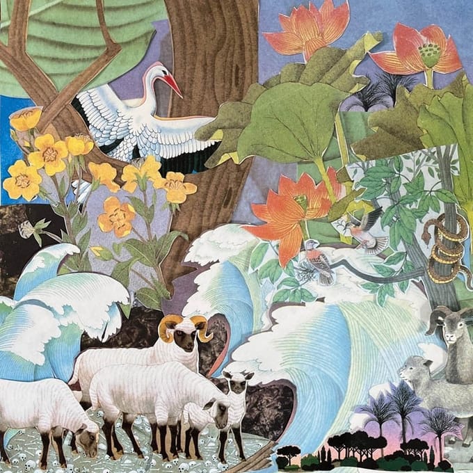 Light Beams - Wild Life (LP)