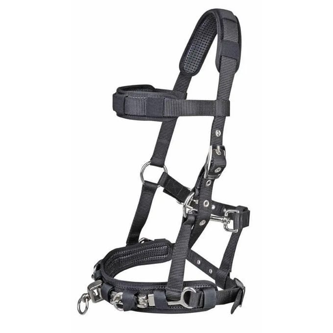 Nylon hoofdstel voor paard HKM Kate