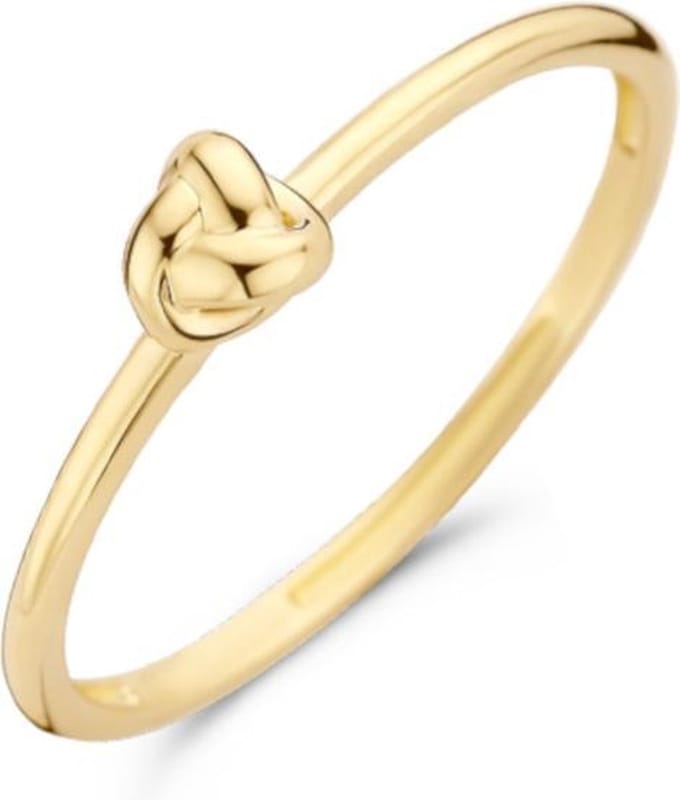 Blush 14 Karaat Gouden Ring1193YGO/54 (Maat: 54)