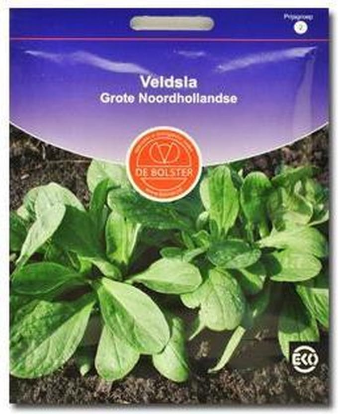 Biologische groenten Veldsla Veldsla