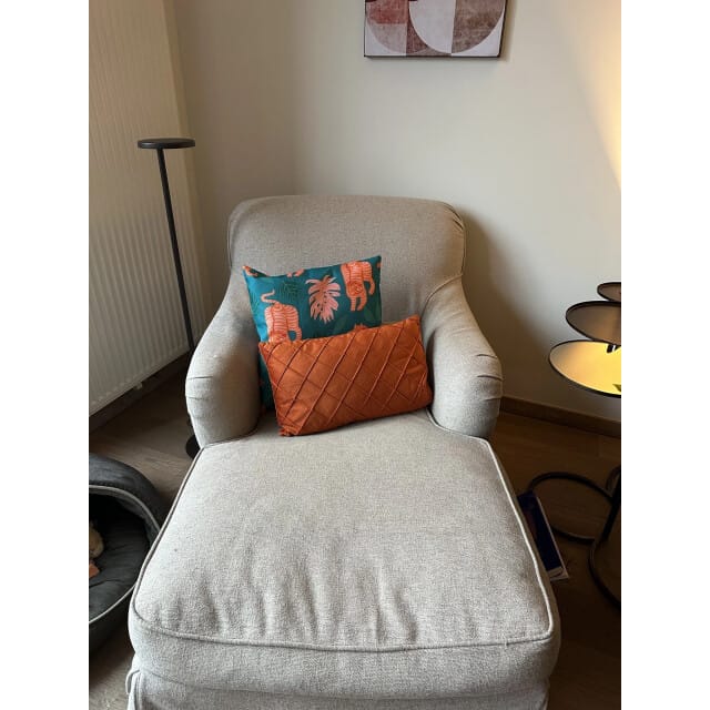 Gek op kussens! Sierkussen orange tiger | 45 x 45 cm | katoen/linnen