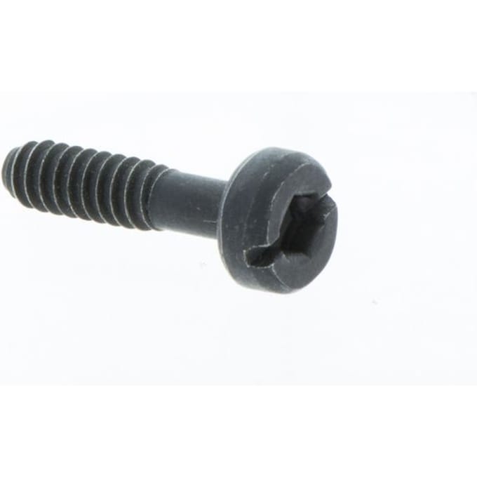 Screw