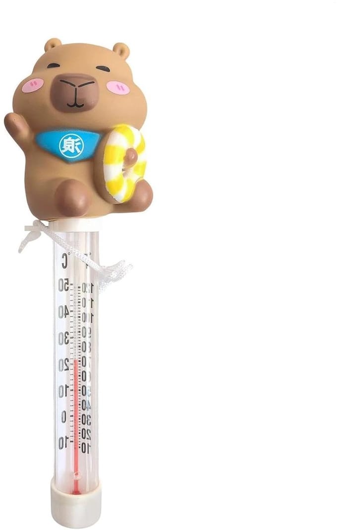 Temperatuurmeter - Watertester - Water Meten - Drijvend Ontwerp - 22 cm - Meerkleurig