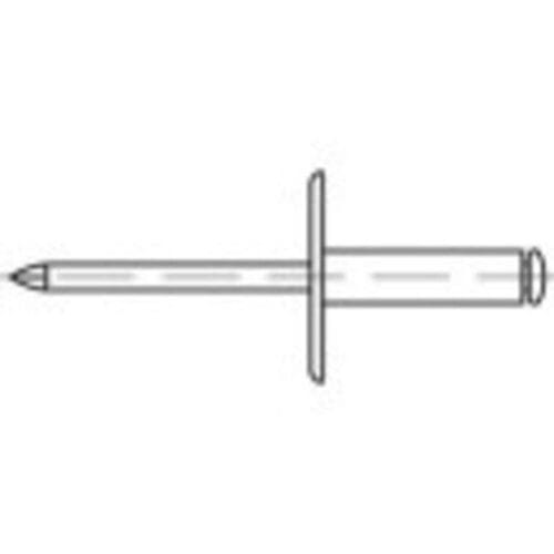 TOOLCRAFT 160171 Open popnagel (Ø x l) 4.8 mm x 20 mm Aluminium Staal 250 stuk(s)