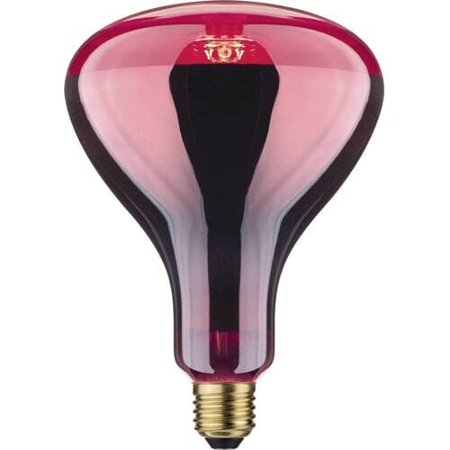 Paulmann Infraroodlamp E27 250 W (Ø x l) 125 mm x 173 mm 1 stuk(s)