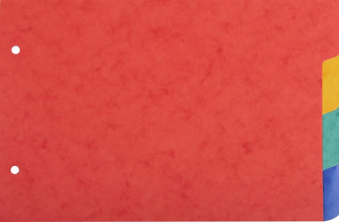 Exacompta 10x Tabbladen in gerecycleerd karton 225g - 4 tabs - 148x210mm A5 - Geassorteerd - 804E