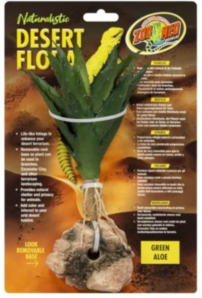 Zoo Med Green Aloe - Terrariumplant