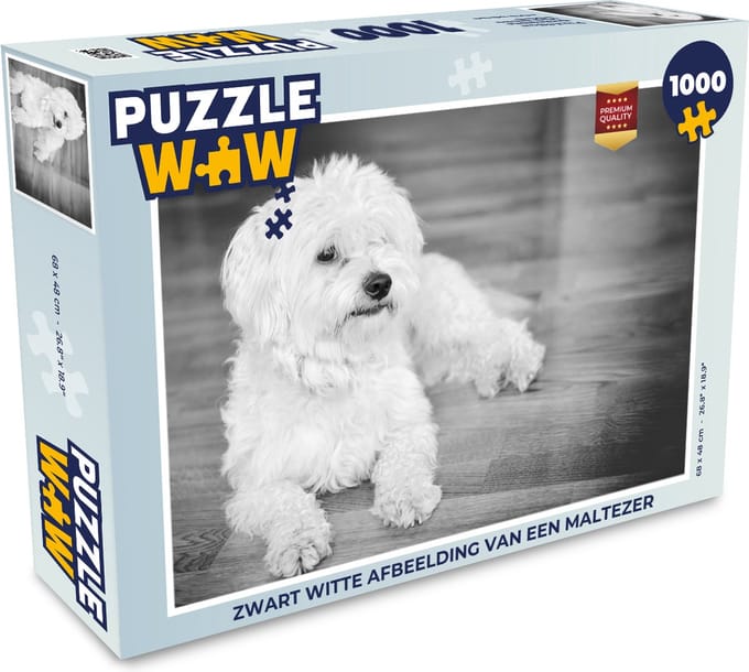 Puzzel Zwart witte afbeelding van een Maltezer - Legpuzzel - Puzzel 1000 stukjes volwassenen