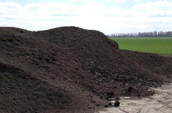 Franky's Flora - wormen grond, Bedding voor de wormenbox, wormentoren