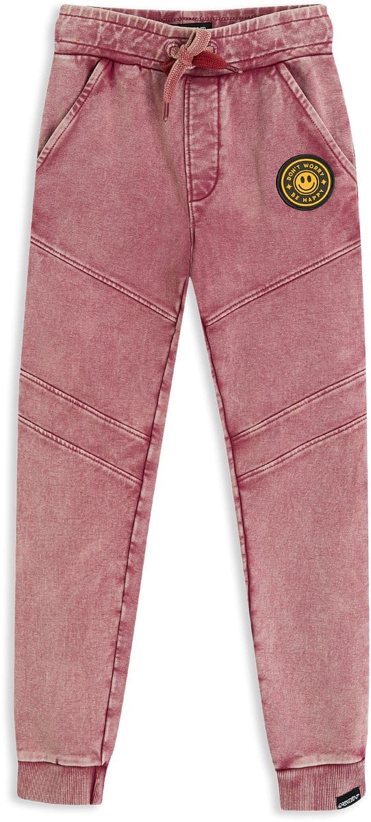 4PRESIDENT Broek Meisjes - Purple - Maat 164