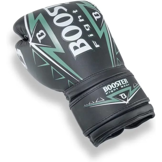 Thaise bokshandschoenen Booster Fight Gear Warrior Series