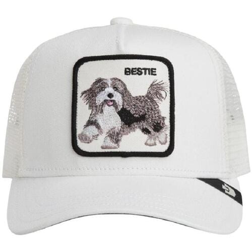 Pet Goorin Bros 201-0094 dust