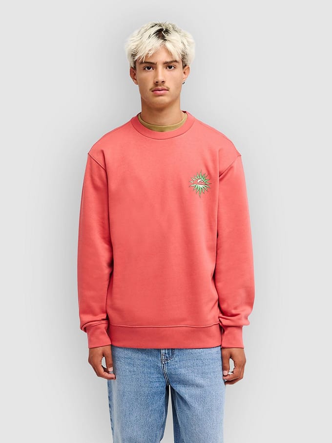 Quiksilver Salt Water Flow Sweatshirt Roze L Man