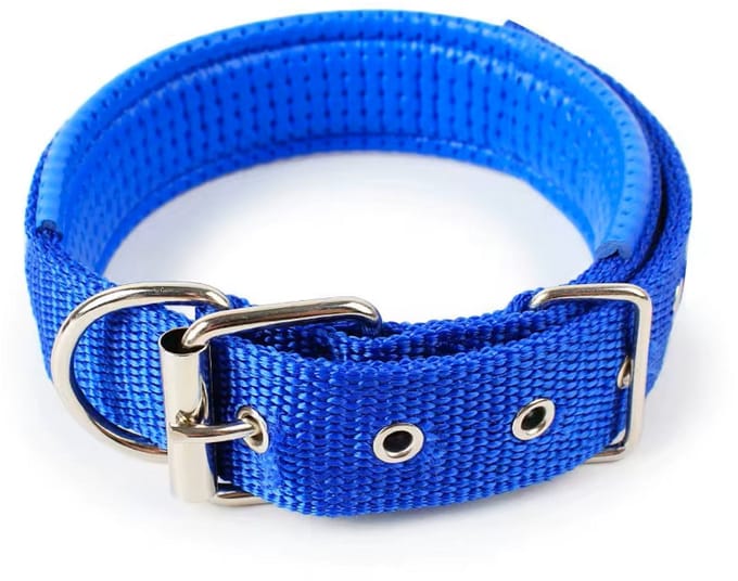 Dierboetiek Verstelbare Nylon Hondenhalsband - Blauw - S