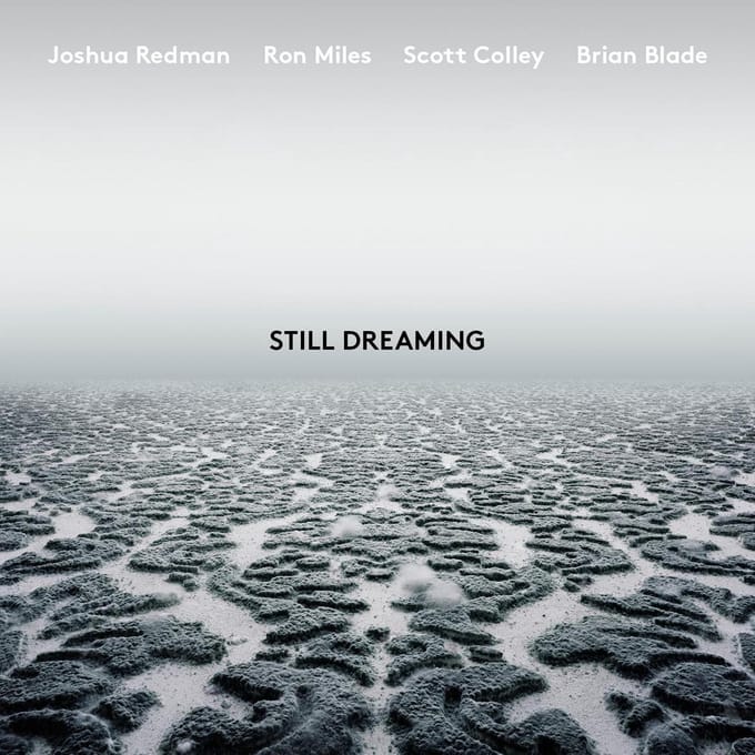 Still Dreaming (Feat. Ron Miles & Scott Colley & Brian Blade)
