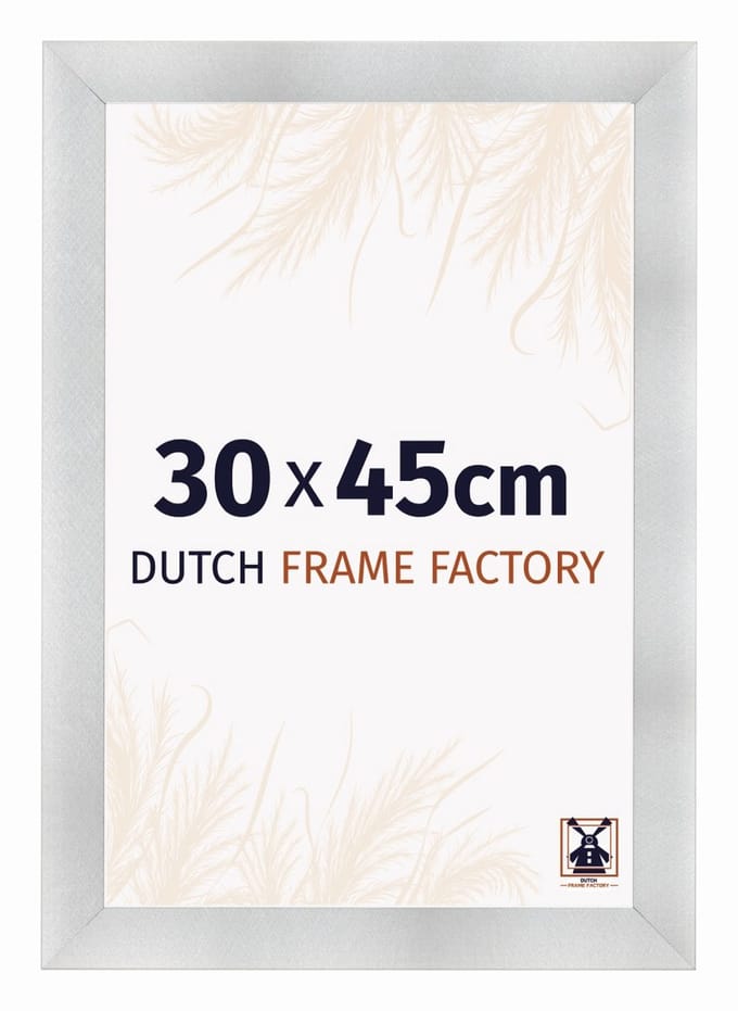 Fotolijst 30x45 cm - MDF - Aluminium Geborsteld - Praag