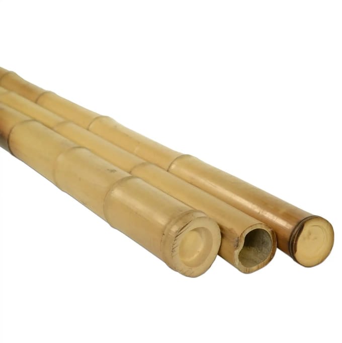 Masters of Bamboo® Bamboe Paal Moso - 300 cm - Ø 5-7 cm