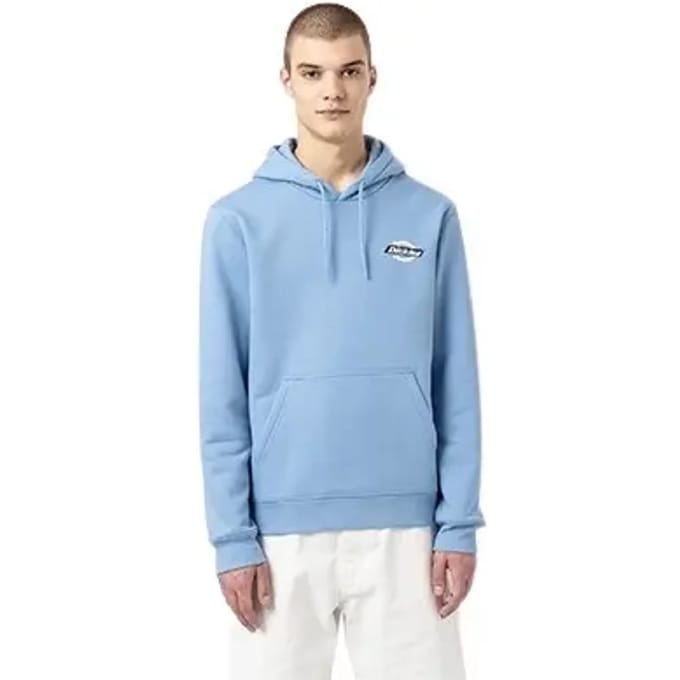 Hooded sweatshirt Dickies Ruston