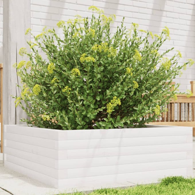 vidaXL - Plantenbak - 70x70x23 - cm - massief - grenenhout - wit