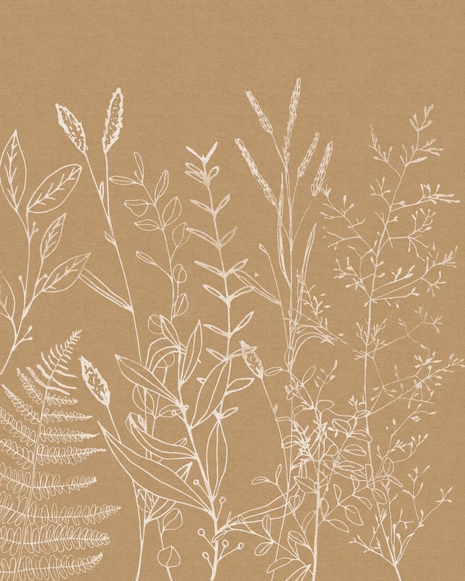 Fotobehang - Herbs Garden 200x250cm - Vliesbehang