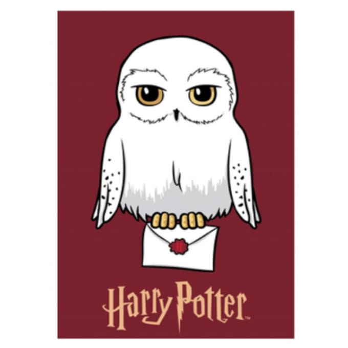 Harry Potter fleece deken