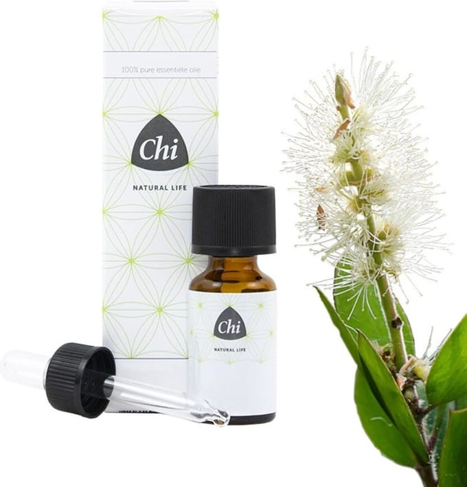 Chi Kajeput Wild - 10 ml - Etherische Olie