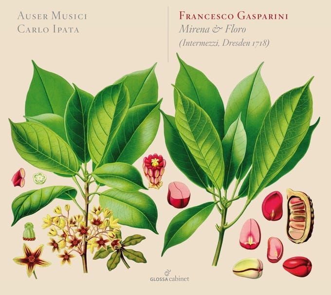 Auser Musici & Carlo Ipata - Gasparini: Mirena & Floro (Intermezzi Dresden 1718) (CD)
