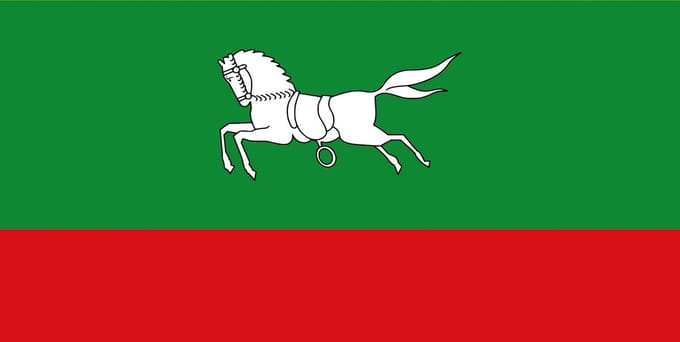 Vlag Zuidlaren 150x225cm