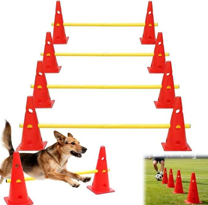 Agility Set voor Coördinatietraining met 8 Cones en 4 Verstelbare Rails voor Honden