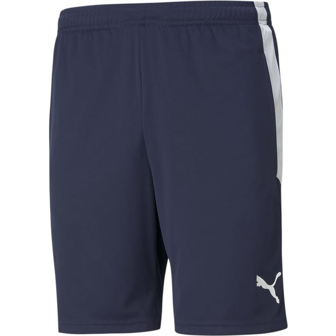 Korte Broek Puma Short Teamliga Training bleu