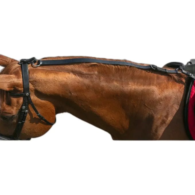 Anti-kantel paardenhoofdstel Norton Pro