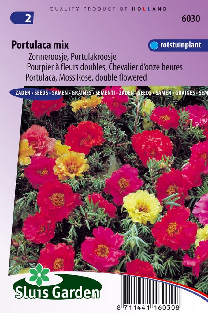 Sluis Garden - Portulaca dubbelbloemig gemengd
