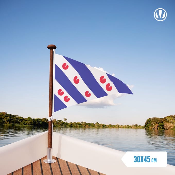 Puntvlag Friesland wimpel 30x45cm