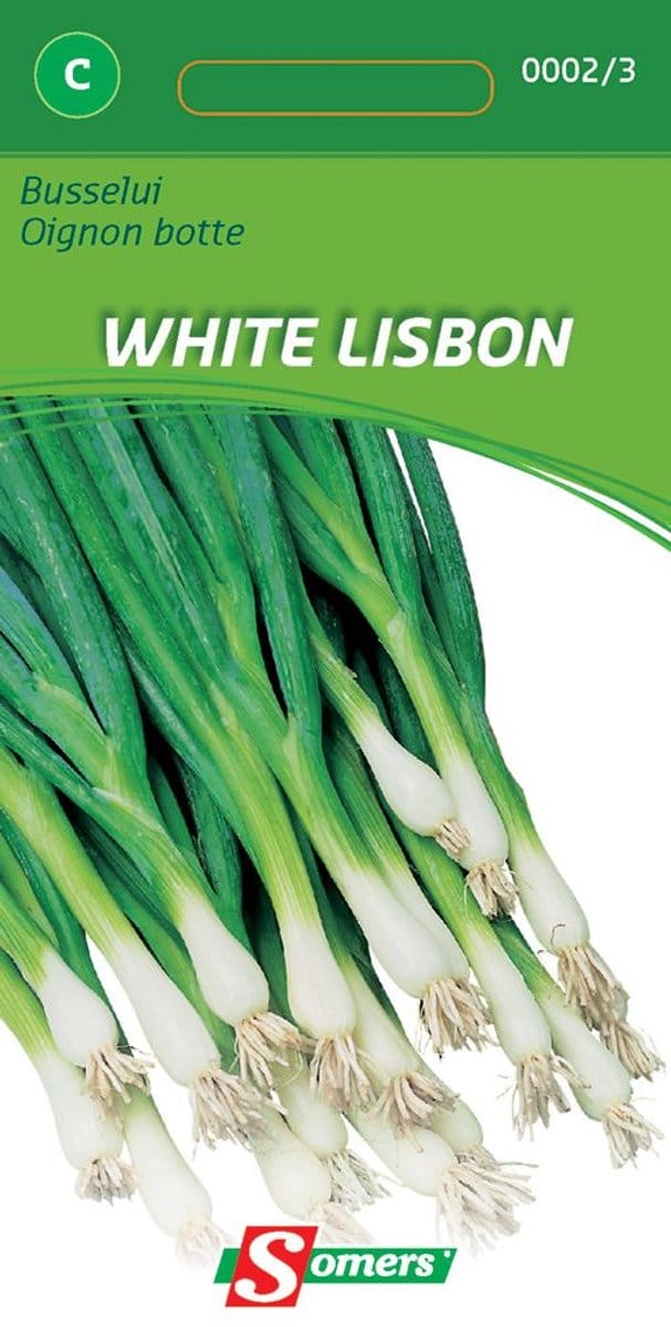 Somers zaden - Busselui White Lisbon
