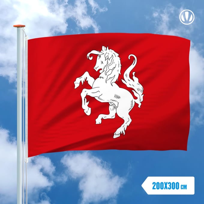 Vlag traditionele Twentse ros 200x300cm