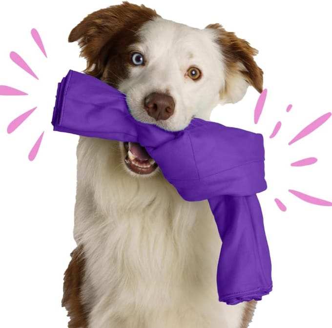 Interactieve Snuffelmat voor Honden - Hersenwerk en Verrijking Speelgoed